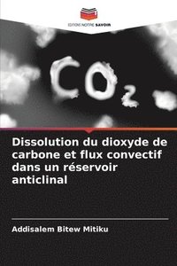 bokomslag Dissolution du dioxyde de carbone et flux convectif dans un rservoir anticlinal