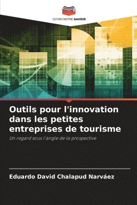 bokomslag Outils pour l'innovation dans les petites entreprises de tourisme