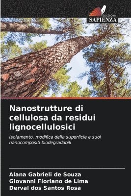 bokomslag Nanostrutture di cellulosa da residui lignocellulosici