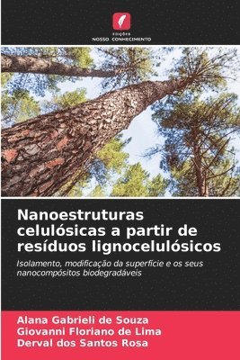 Nanoestruturas celulsicas a partir de resduos lignocelulsicos 1