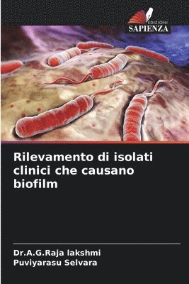 bokomslag Rilevamento di isolati clinici che causano biofilm