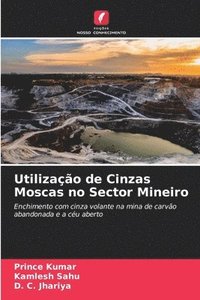 bokomslag Utilizao de Cinzas Moscas no Sector Mineiro