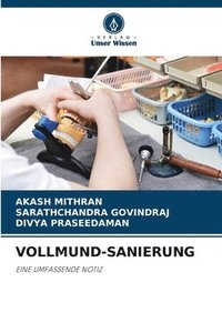 bokomslag Vollmund-Sanierung