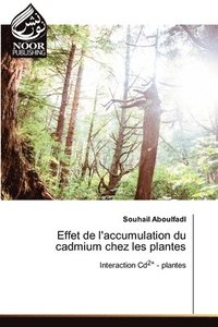 bokomslag Effet de l'accumulation du cadmium chez les plantes