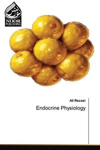 bokomslag Endocrine Physiology