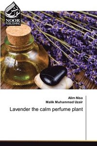 bokomslag Lavender the calm perfume plant