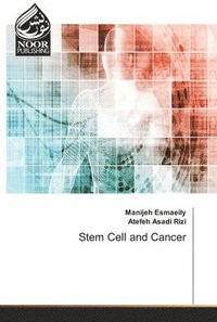 bokomslag Stem Cell and Cancer