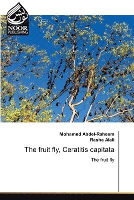 The fruit fly, Ceratitis capitata 1