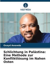 bokomslag Schlichtung in Palästina