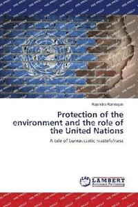 bokomslag Protection of the environment and the role of the United Nations