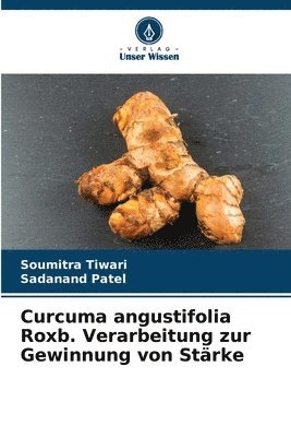 Curcuma angustifolia Roxb. Verarbeitung zur Gewinnung von Strke 1