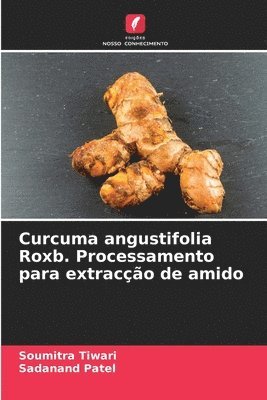 Curcuma angustifolia Roxb. Processamento para extraco de amido 1