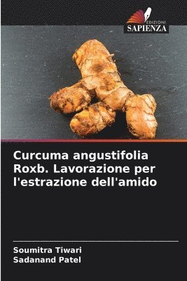 Curcuma angustifolia Roxb. Lavorazione per l'estrazione dell'amido 1