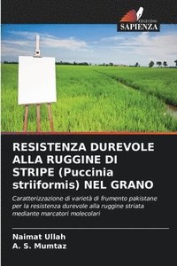 bokomslag RESISTENZA DUREVOLE ALLA RUGGINE DI STRIPE (Puccinia striiformis) NEL GRANO