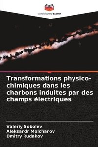 bokomslag Transformations physico-chimiques dans les charbons induites par des champs lectriques