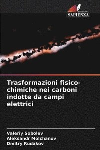 bokomslag Trasformazioni fisico-chimiche nei carboni indotte da campi elettrici