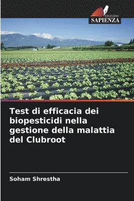 Test di efficacia dei biopesticidi nella gestione della malattia del Clubroot 1