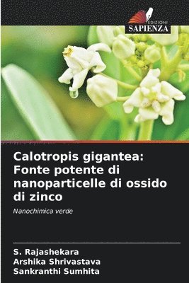 Calotropis gigantea 1
