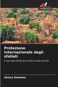 bokomslag Protezione internazionale degli sfollati