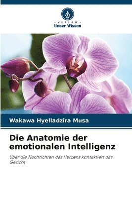 Die Anatomie der emotionalen Intelligenz 1