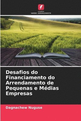 bokomslag Desafios do Financiamento do Arrendamento de Pequenas e Médias Empresas