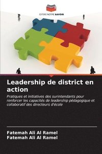 bokomslag Leadership de district en action