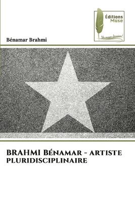BRAHMI Bnamar - artiste pluridisciplinaire 1