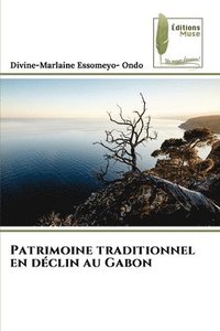 bokomslag Patrimoine traditionnel en dclin au Gabon