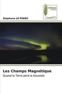 bokomslag Les Champs Magntique