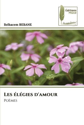 bokomslag Les lgies d'amour