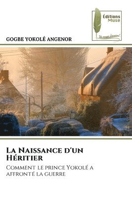 bokomslag Naissance d'un Héritier
