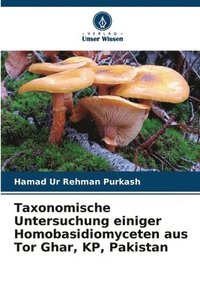 bokomslag Taxonomische Untersuchung einiger Homobasidiomyceten aus Tor Ghar, KP, Pakistan