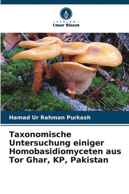 bokomslag Taxonomische Untersuchung einiger Homobasidiomyceten aus Tor Ghar, KP, Pakistan