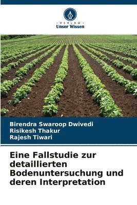 Birendra Swaroop Dwivedi, Risikesh Thakur, Rajesh Tiwari - Eine Fallstudie zur detaillierten Bodenuntersuchung und deren Interpretation, Häftad