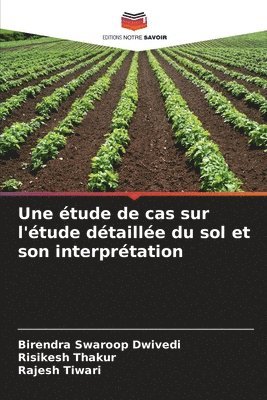 Birendra Swaroop Dwivedi, Risikesh Thakur, Rajesh Tiwari - étude de cas sur l'étude détaillée du sol et son interprétation, Häftad