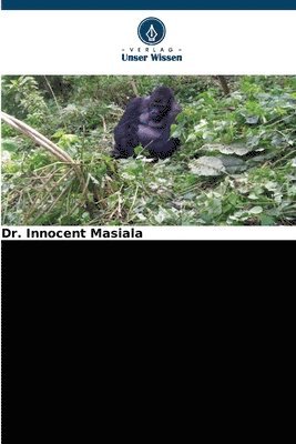 Die Gorillas von Grauer 1