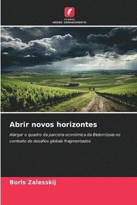 bokomslag Abrir novos horizontes