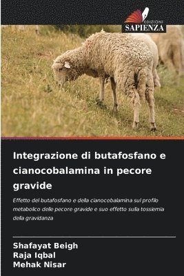 bokomslag Integrazione di butafosfano e cianocobalamina in pecore gravide