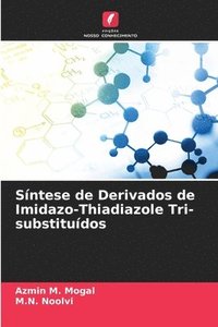 bokomslag Sntese de Derivados de Imidazo-Thiadiazole Tri-substitudos