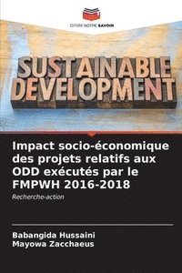 bokomslag Impact socio-conomique des projets relatifs aux ODD excuts par le FMPWH 2016-2018
