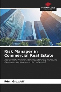 bokomslag Risk Manager in Commercial Real Estate