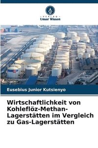 bokomslag Wirtschaftlichkeit von Kohleflz-Methan-Lagersttten im Vergleich zu Gas-Lagersttten