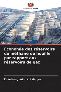 bokomslag conomie des rservoirs de mthane de houille par rapport aux rservoirs de gaz