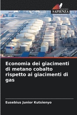 bokomslag Economia dei giacimenti di metano cobalto rispetto ai giacimenti di gas