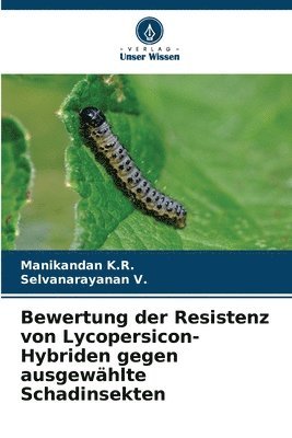 bokomslag Bewertung der Resistenz von Lycopersicon-Hybriden gegen ausgewhlte Schadinsekten