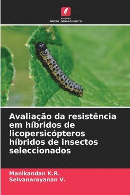 Avaliao da resistncia em hbridos de licopersicpteros hbridos de insectos seleccionados 1