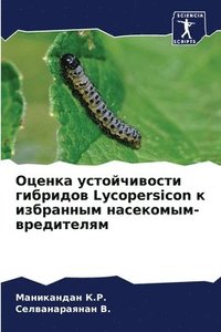 bokomslag &#1054;&#1094;&#1077;&#1085;&#1082;&#1072; &#1091;&#1089;&#1090;&#1086;&#1081;&#1095;&#1080;&#1074;&#1086;&#1089;&#1090;&#1080; &#1075;&#1080;&#1073;&#1088;&#1080;&#1076;&#1086;&#1074; Lycopersicon