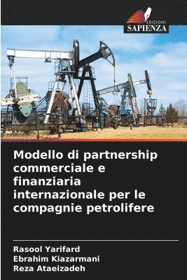 Modello di partnership commerciale e finanziaria internazionale per le compagnie petrolifere 1