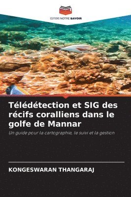 Tldtection et SIG des rcifs coralliens dans le golfe de Mannar 1