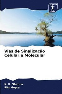 bokomslag Vias de Sinalizao Celular e Molecular